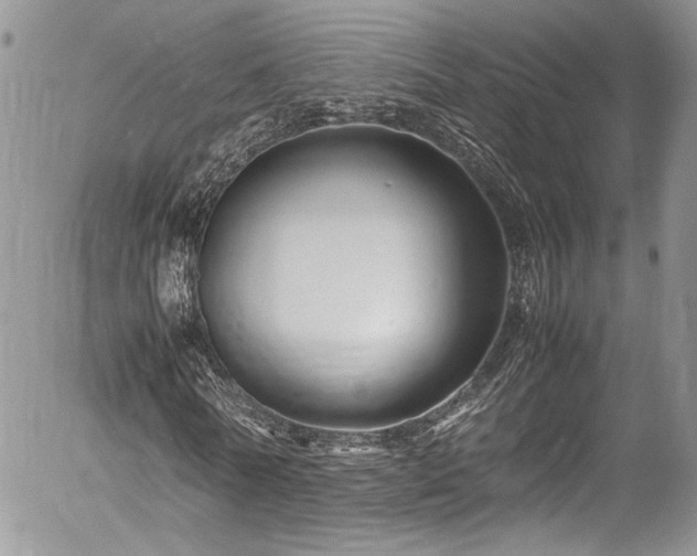 X0000054370770200507291046