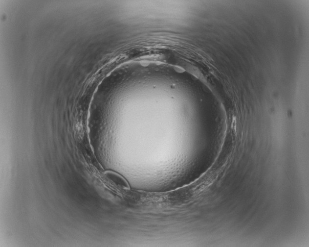 X0000054370771200507291046