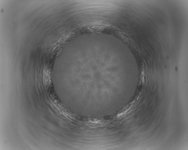 X0000054370772200507291046