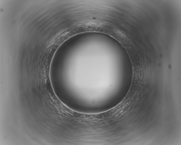 X0000054370774200507291046