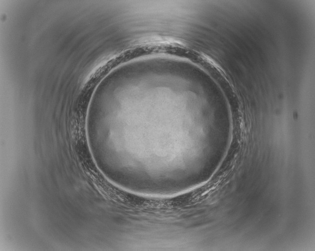 X0000054370775200507291046