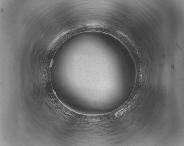 X0000054370776200507291046