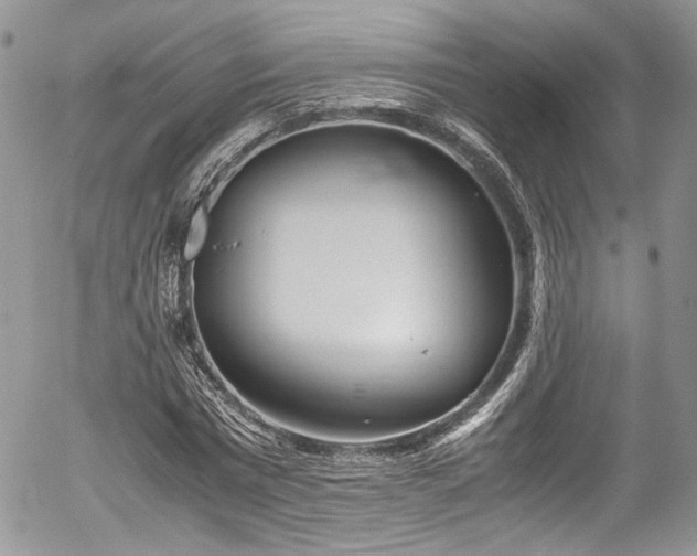 X0000054370777200507291046