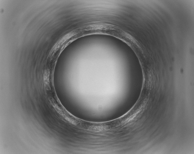 X0000054370778200507291046