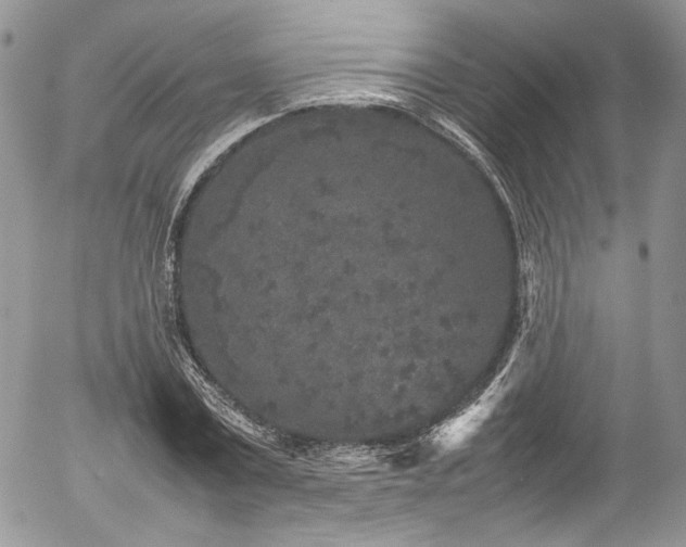 X0000054370779200507291046