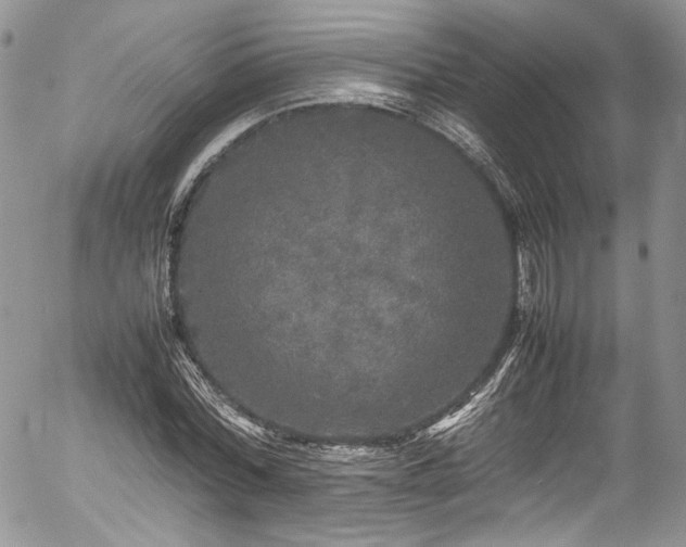 X0000054370780200507291046