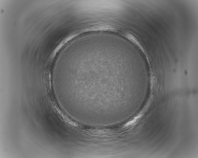 X0000054370781200507291046