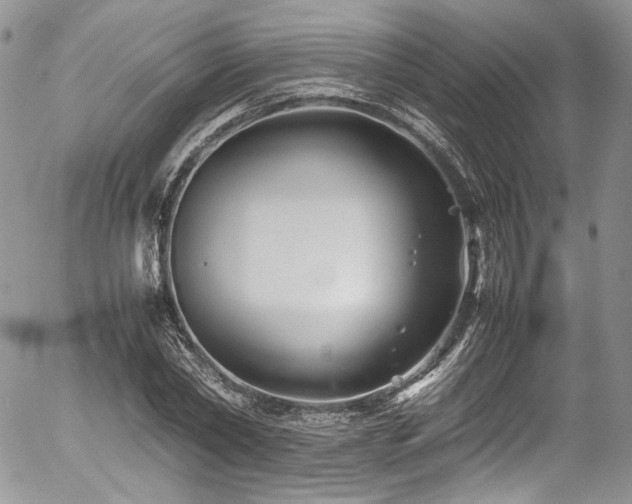 X0000054370782200507291046