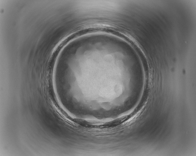 X0000054370783200507291046