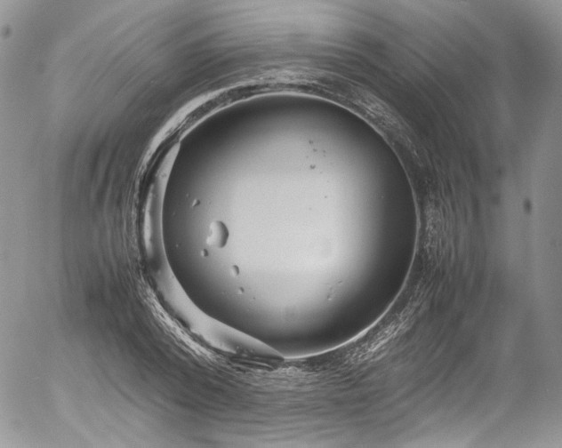 X0000054370784200507291046