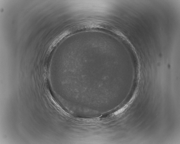 X0000054370785200507291046