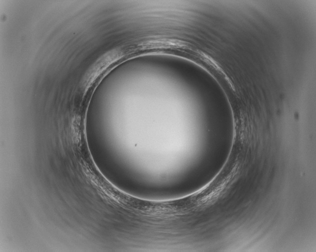 X0000054370786200507291046