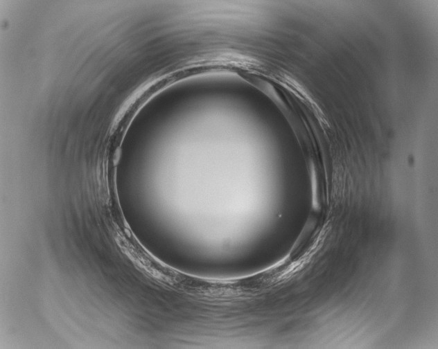 X0000054370788200507291045