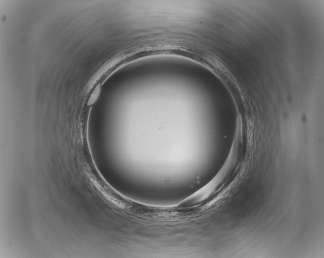 X0000054370789200507291045