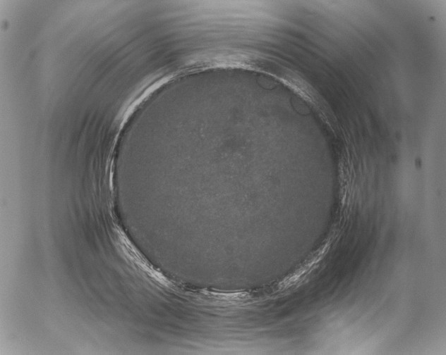 X0000054370790200507291045