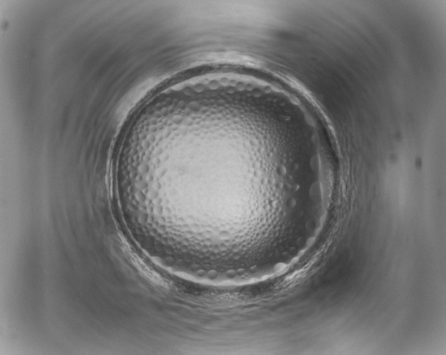 X0000054370791200507291045