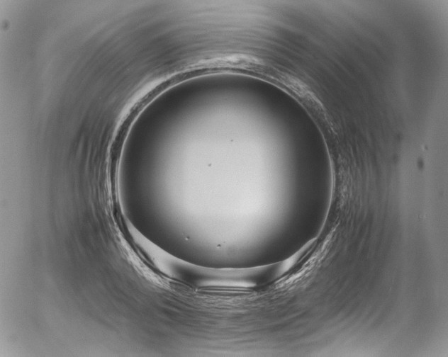 X0000054370792200507291045