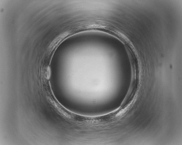 X0000054370793200507291045