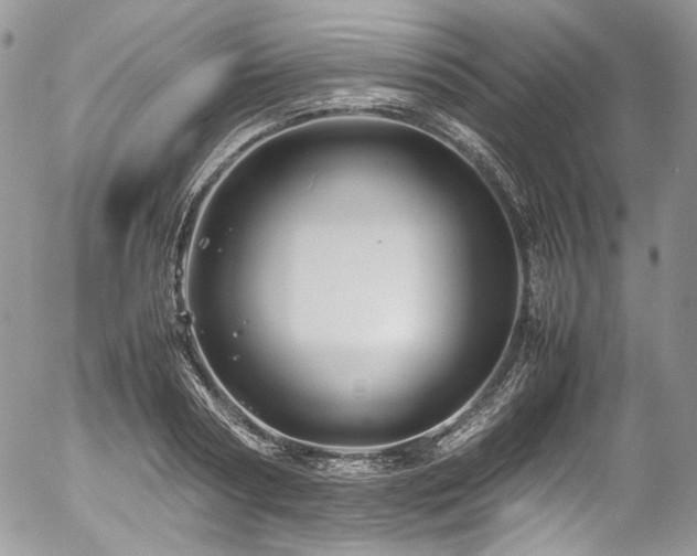 X0000054370794200507291045