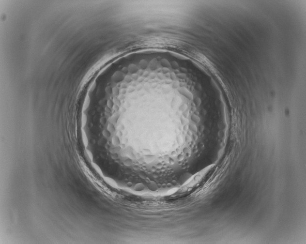 X0000054370795200507291045