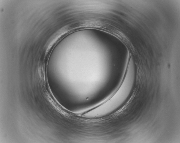 X0000054370796200507291045