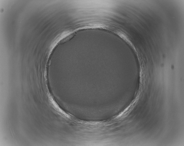 X0000054370797200507291045