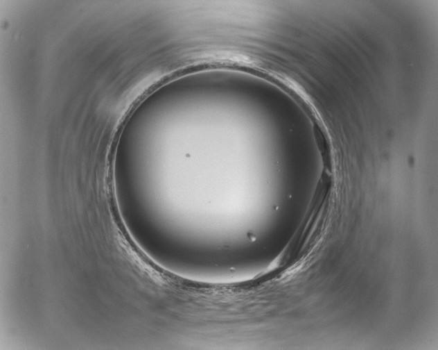 X0000054370799200507291045