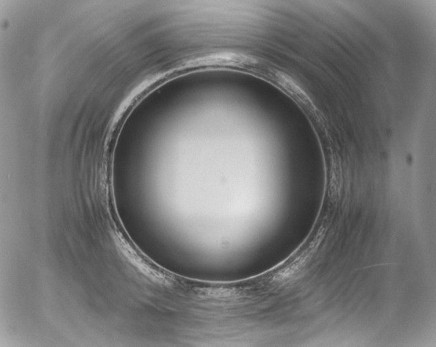 X0000054370800200507291045