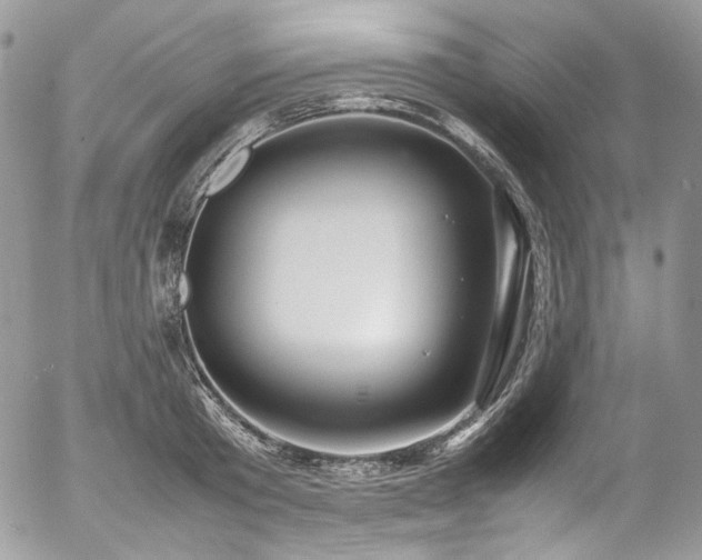 X0000054370801200507291045