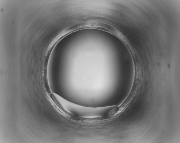 X0000054370803200507291045