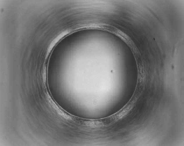 X0000054370804200507291045