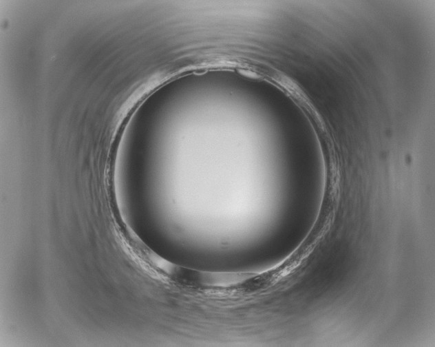 X0000054370805200507291045