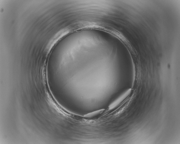 X0000054370806200507291045