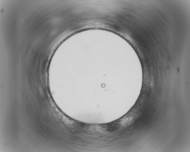 X0000054370807200507291045