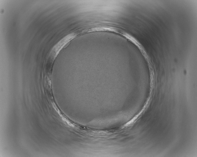 X0000054370809200507291045