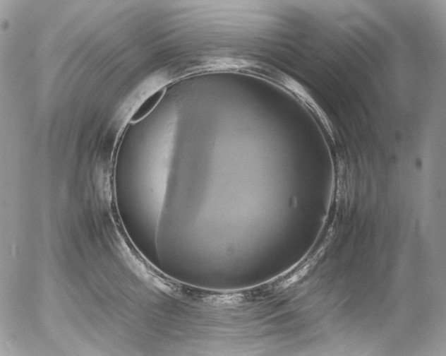 X0000054370810200507291045