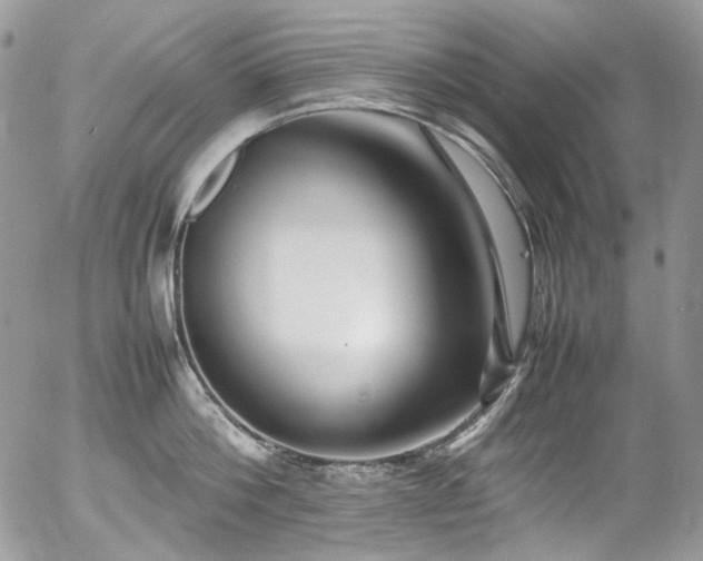 X0000054370812200507291045