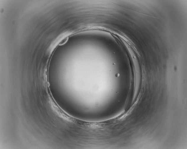 X0000054370814200507291045