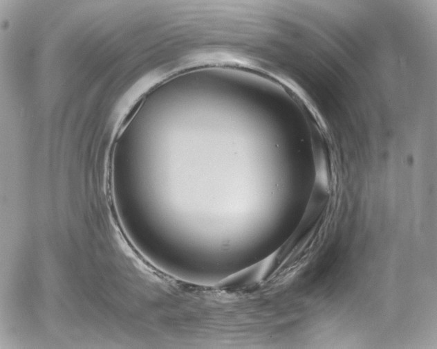 X0000054370815200507291045