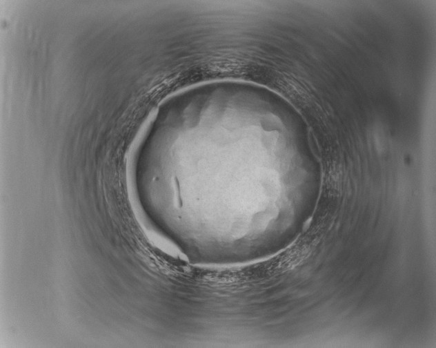 X0000054370817200507291044