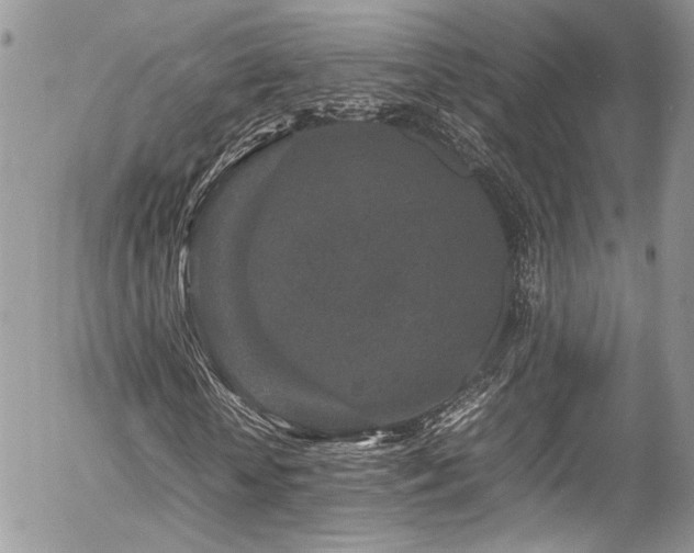 X0000054370818200507291044