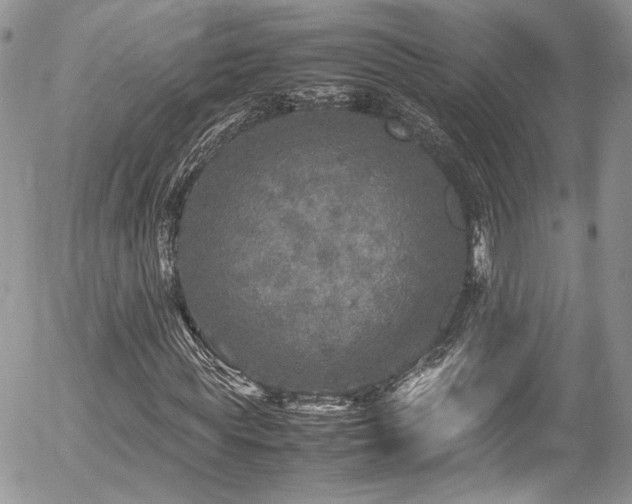 X0000054370819200507291044