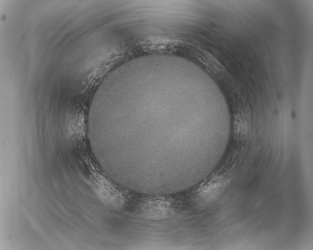 X0000054370820200507291044