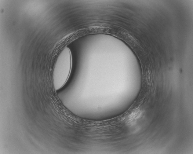 X0000054370821200507291044