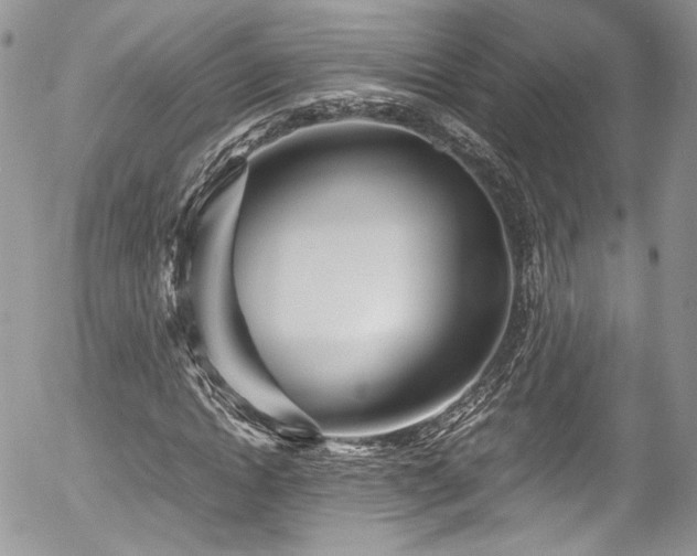 X0000054370822200507291044