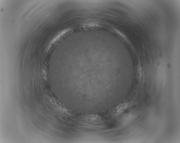 X0000054370823200507291044