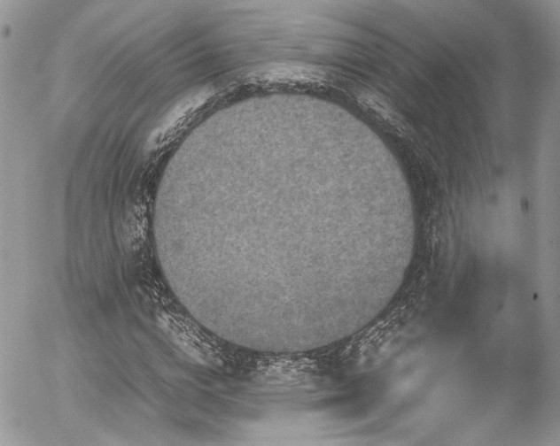 X0000054370824200507291044