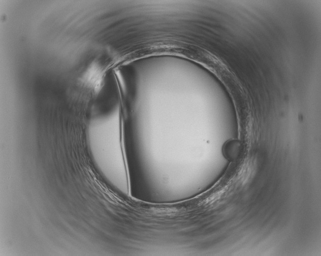 X0000054370825200507291044