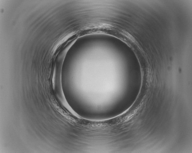 X0000054370826200507291044