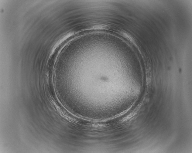 X0000054370827200507291044